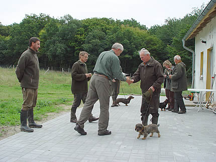 Teckelprüfung