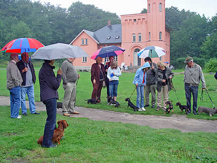 Teckeltag Jagdschloss Granitz